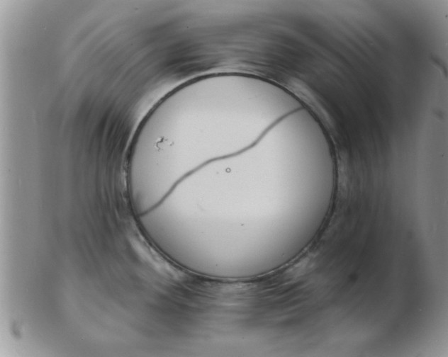 X0000103301292200809122021