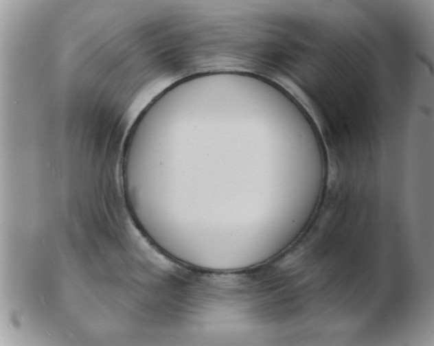 X0000103301293200809122021