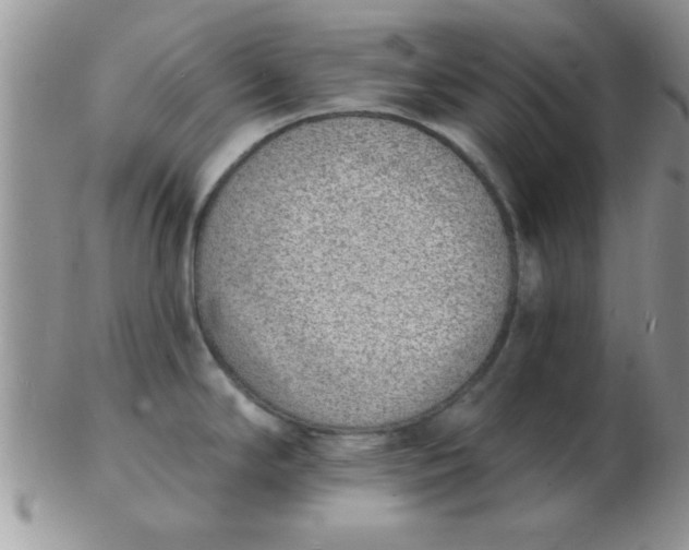 X0000103301294200809122021