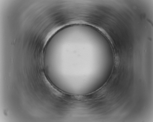 X0000103301295200809122021