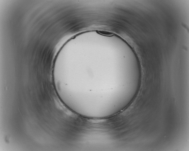 X0000103301296200809122021