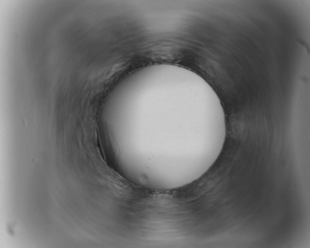 X0000103301297200809122021