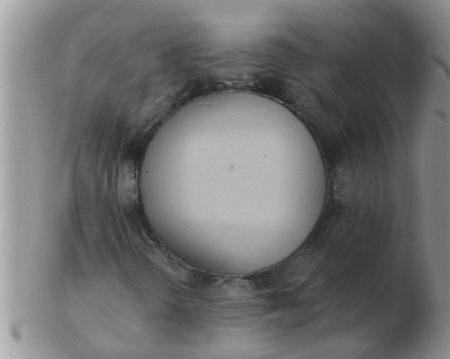 X0000103301298200809122021