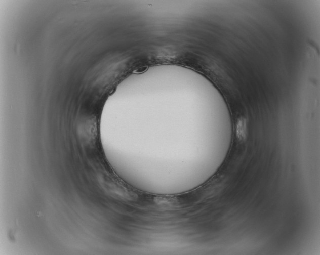 X0000103301299200809122021