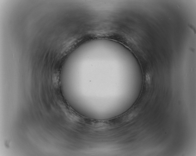 X0000103301300200809122021