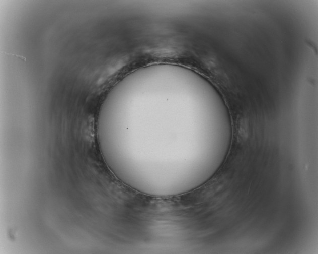 X0000103301301200809122021