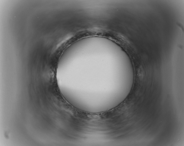 X0000103301302200809122021