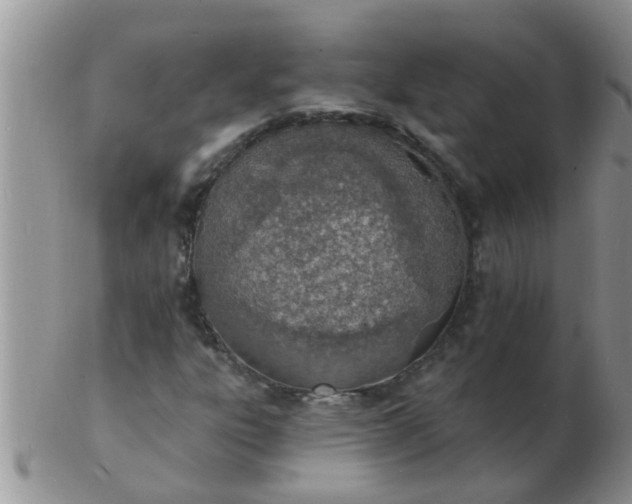 X0000103301303200809122021