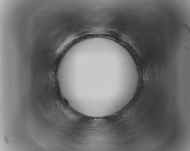 X0000103301304200809122021