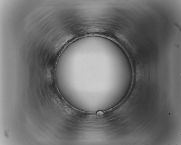 X0000103301305200809122021