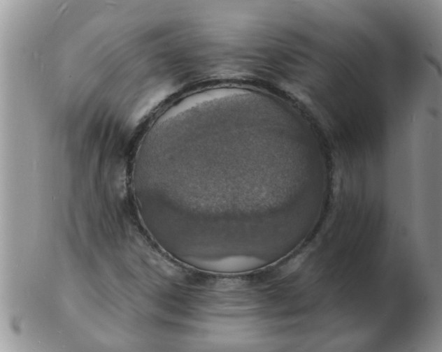 X0000103301306200809122021