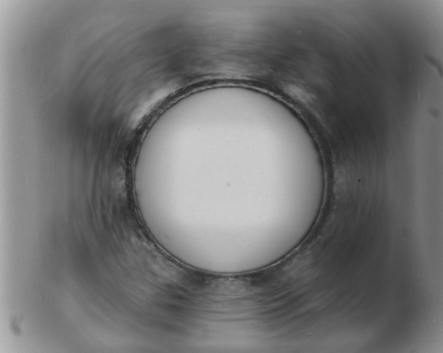 X0000103301307200809122021