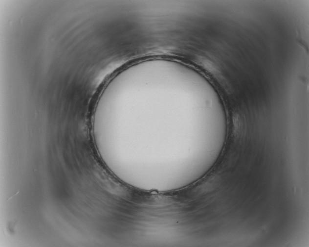 X0000103301308200809122021