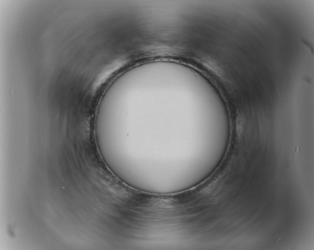 X0000103301309200809122021