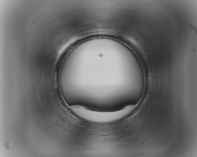 X0000103301310200809122021