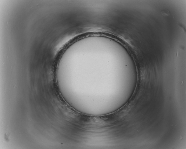 X0000103301311200809122021