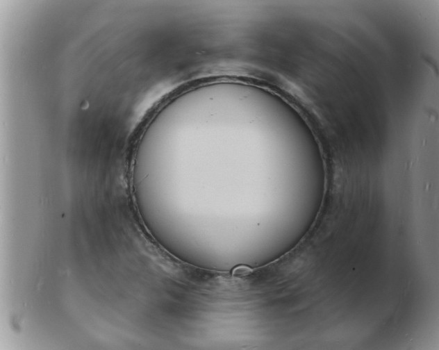 X0000103301312200809122021