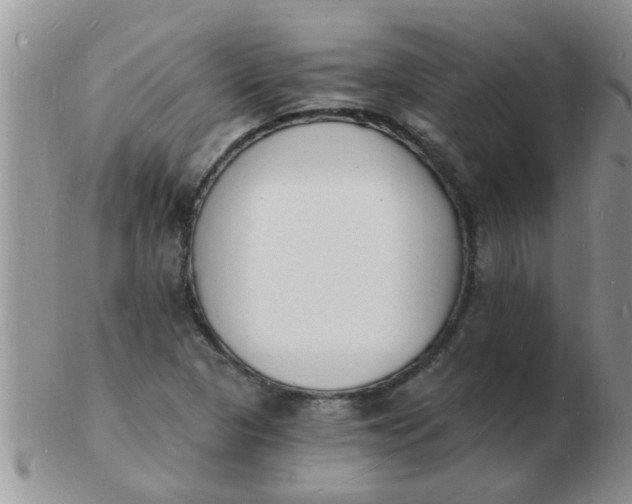 X0000103301313200809122021