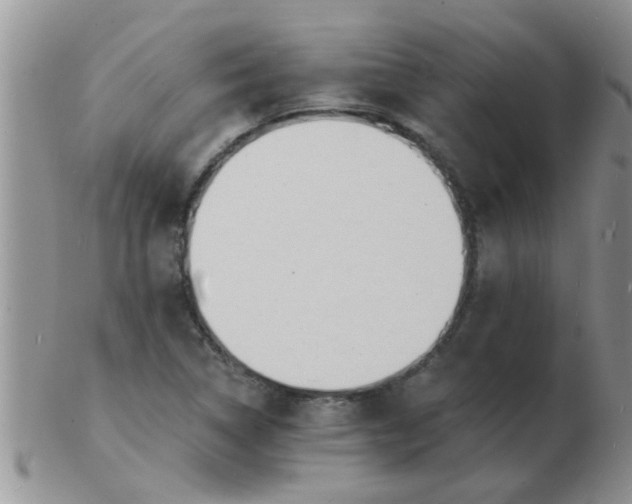 X0000103301314200809122021