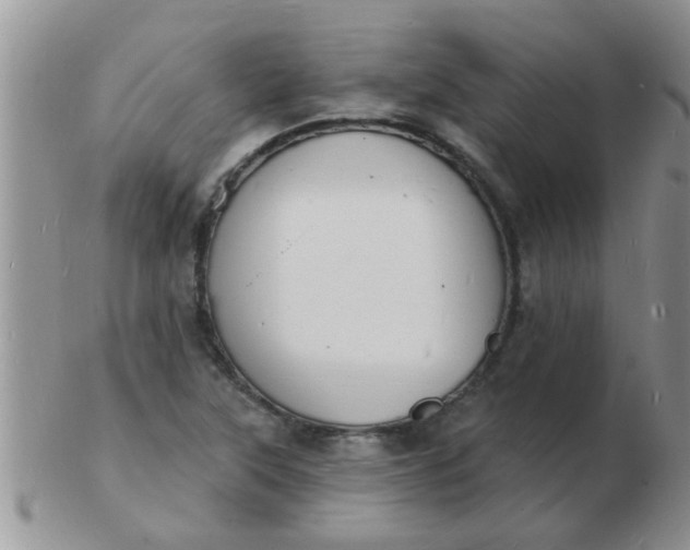 X0000103301315200809122021