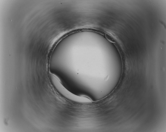 X0000103301316200809122021