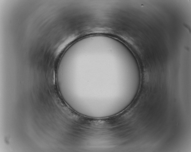 X0000103301317200809122021