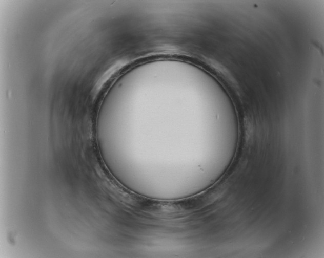 X0000103301318200809122021