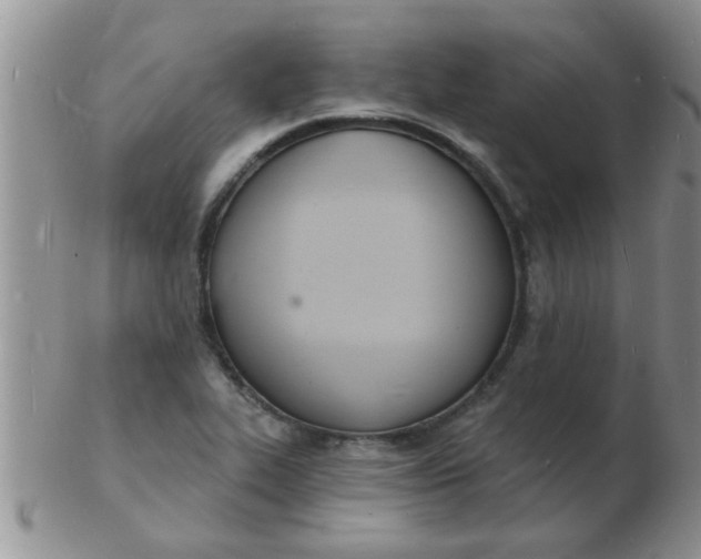 X0000103301319200809122021