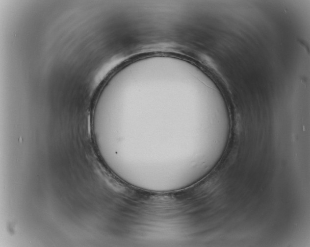 X0000103301320200809122021