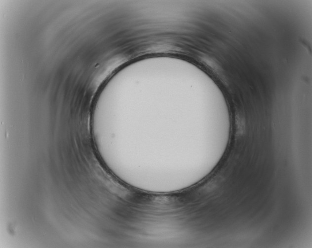 X0000103301322200809122021