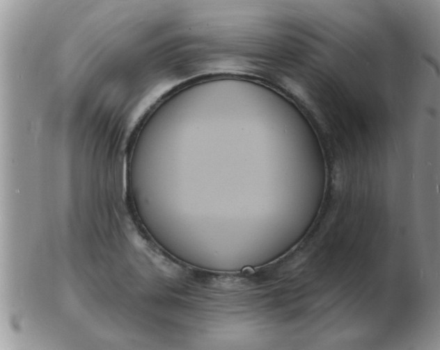 X0000103301323200809122021