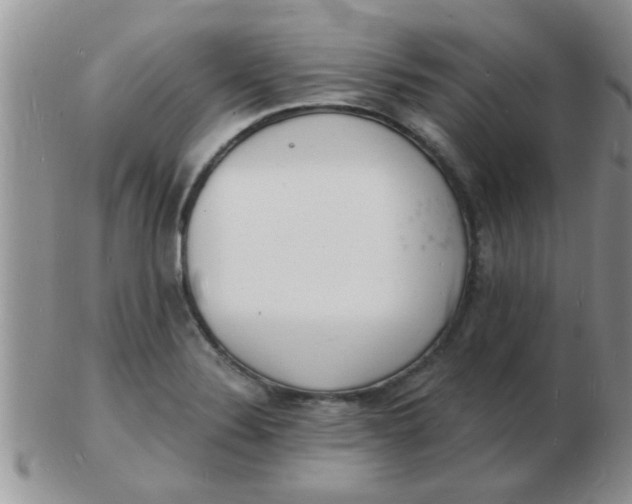 X0000103301324200809122021