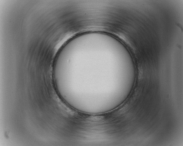 X0000103301325200809122021