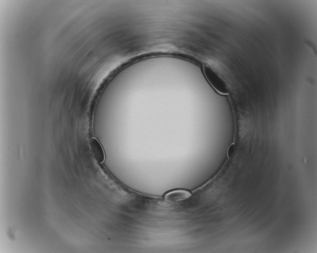 X0000103301326200809122021