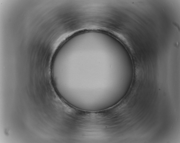 X0000103301327200809122021