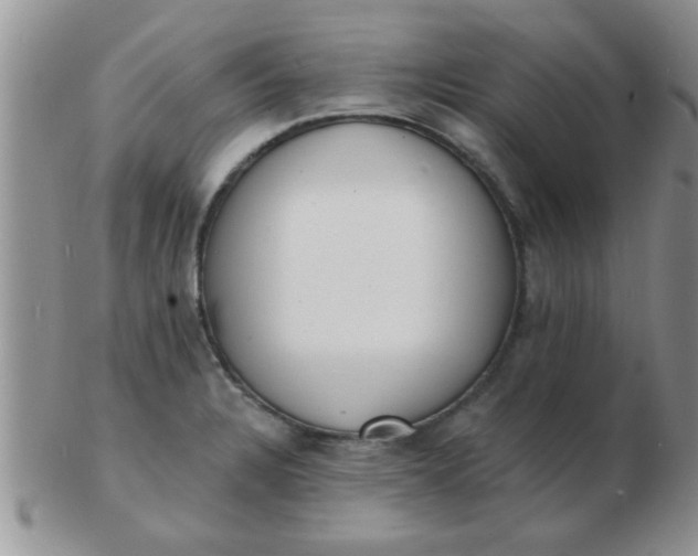 X0000103301328200809122021