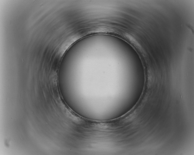 X0000103301329200809122021