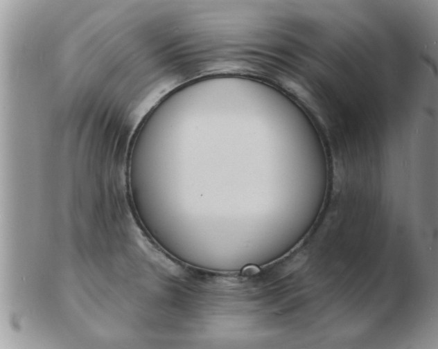 X0000103301330200809122021