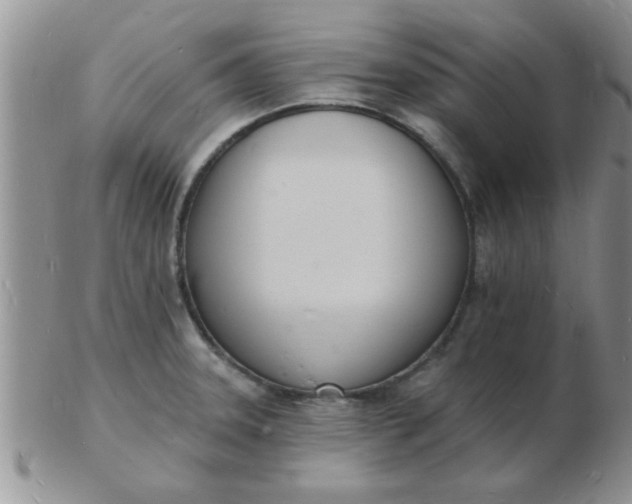 X0000103301331200809122021