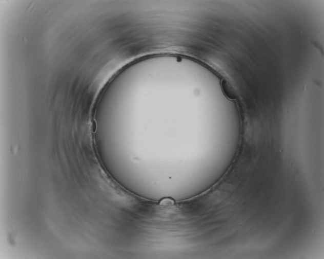 X0000103301332200809122021