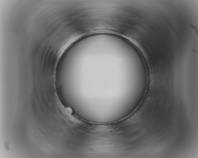 X0000103301333200809122021