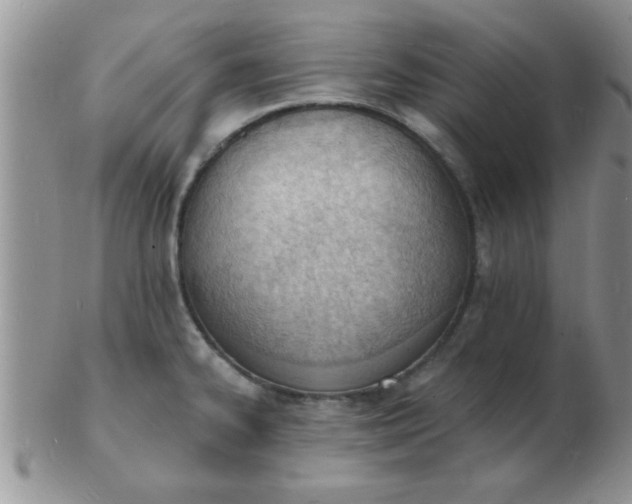 X0000103301334200809122021