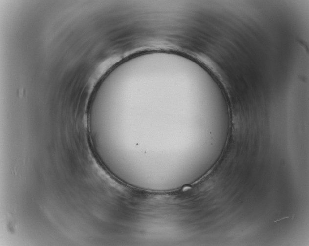 X0000103301335200809122021