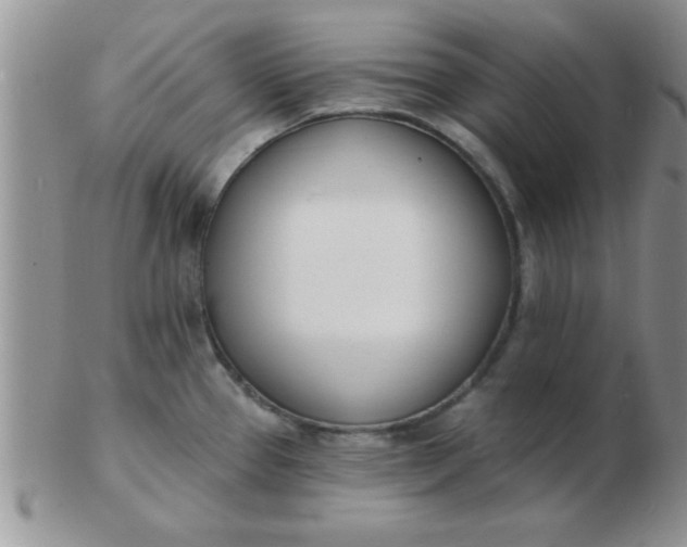 X0000103301337200809122021