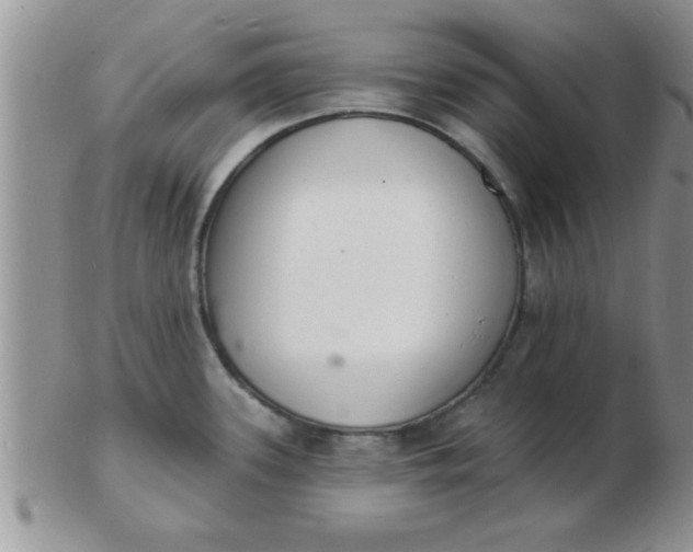 X0000103301339200809122021