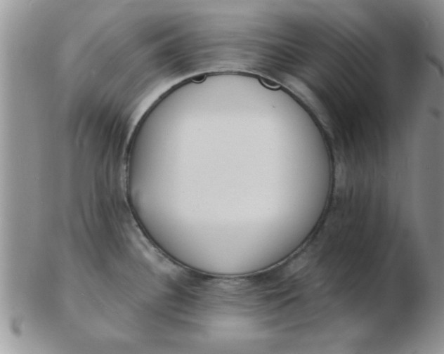 X0000103301340200809122021