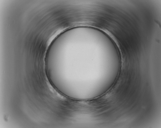 X0000103301341200809122021