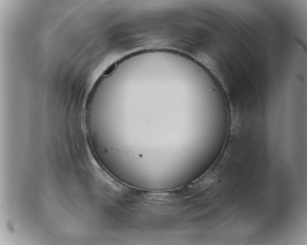 X0000103301342200809122021