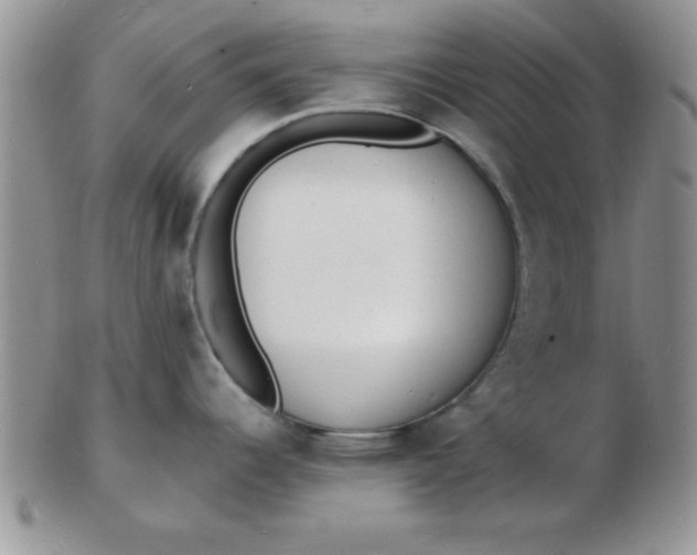 X0000103301344200809122021