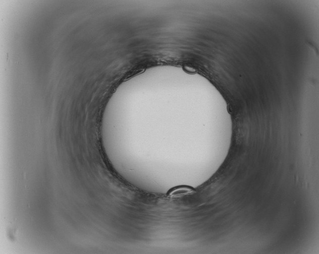 X0000103301345200809122021